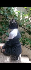 Nammoth Public Pic 9