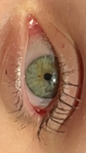 Cherryblossom428 Public Εικόνα 2