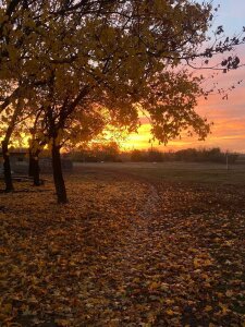 MinaMancilla Beautiful autumn Pic 5