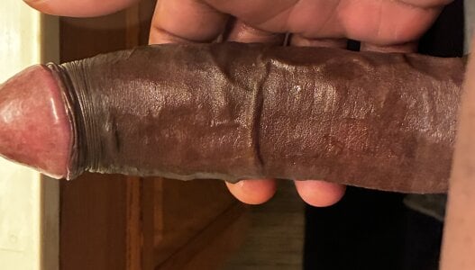 Horsemanny: Public ( фото)