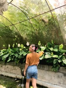 Luminous_Luxe Cruel Summer Pic 3