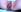 Paradise_LOVE NAKED PUSSY Photo 4