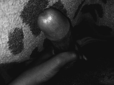 mrbustanut666 MY DICK 🍆🍆💦 Pic 3