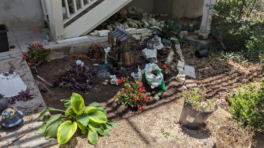 Hookdo: Public ( 5 фото)