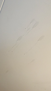 Pikashu7u7 Teaser pics Immagine  7