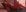 JACKI_JOSensuality in my bed照片