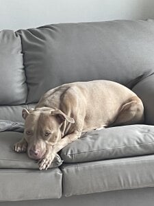 My routine would say 🥰🥰 de anali_myerss_  3 photos