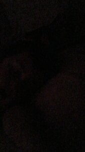 Peterbilt11 Public Pic