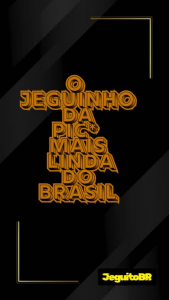 jeguitoBR Public Pic 2