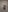 sweetyhunter 😶‍🌫️ Pic 4