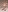 curvylines naked white angel Pic 6