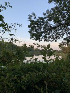 pandalorian ♥♥ Pic