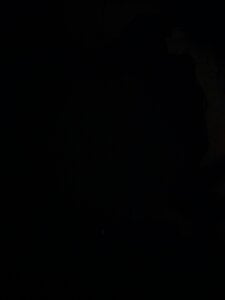 Perfect_size Public Pic 3