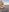 Mr_evan1 Sunset Naked and Hard 사진 2