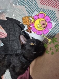 Sarah-Stoner Smokey😻😻😻 Poză 7