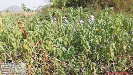 Public de Jyoti_telugu  4 Imagens