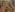 secret_dream415 Gemaltes Bild von mir Nackt😈🥵😍❤️ Pic