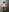kenllyhot_and_valeriahell hot pictures in the shower Pic 8