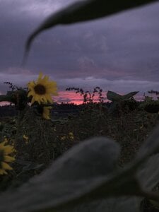 xhamsterlivelukas Public Pic 3