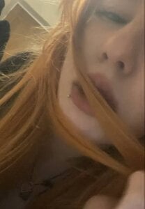 DynaLoom Public Gambar