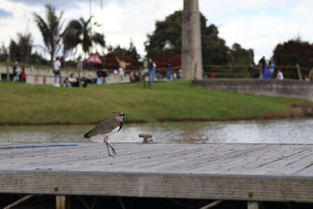 DanniG2000_ 🏞️ 🪿🌿🍃✨️ Pic 4