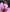Linzy_19 February 2024 Bundle Pic 9