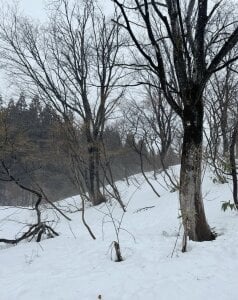 Tg_nova Skiing Pic 5