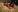 Secretfantasy_xxx Sensuality between sheets Pic 7