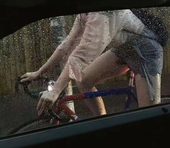 rose1168 Public Immagine  3