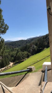 fuegovida Public Pic 3