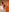 Adharamonroe Just tell me what you would like to do you the most! Pic 8
