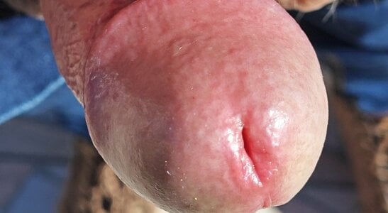 jhonschen's Sborra fuori porta Sex Photo 2