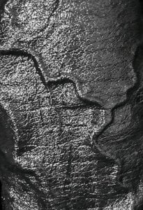 BBC-RAWCOCK Public Pic 4