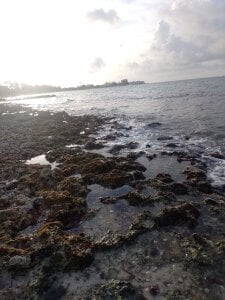 Angela_18honey Breeze and Sea Beach  5. fénykép