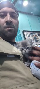 asem19999 Public Pic 3