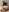 BadScarlet1: Very horny 💦 ( 2 фото)