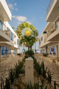 love_amor_ Soon ✈️🏖️ another soon vacation🏖️ Pic 4