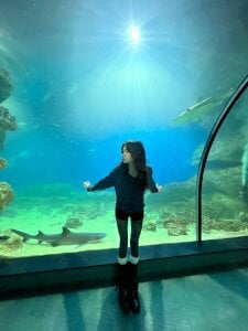 ReneeLippeatt Depths of the Ocean Pic 3