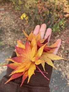 LOVE❤️ de _Shuka_  Imagens