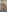 Antonellaparis_ Latina with cream covered tits 🔥 Photo 5