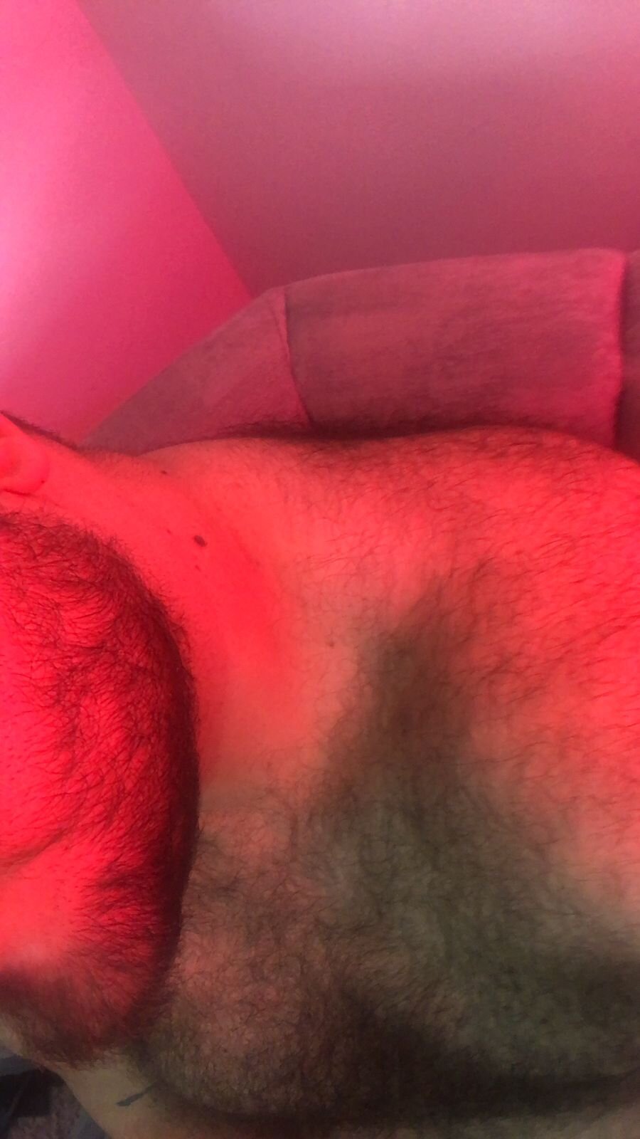 big_bearr Trending Plaatje 2337