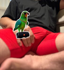 Cubanno Public Pic 3