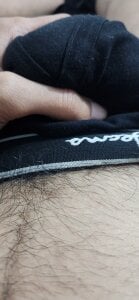 Noxvorlen Public Pic