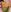 Evie-Luna Neon green lingerie Pic 6