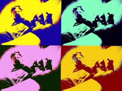 ebanosp Public Pic 4