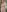 didihairypussy Cream.cum Photo 6