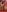 sweet_brunettex_lovingyou Very horny Pic 7