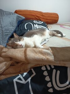 Sebasgutier Fotos Pic