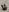 FeetVibe Ashes & Allure 🔥👡 Pic 8