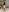 SarahCartenMy hot body照片 3